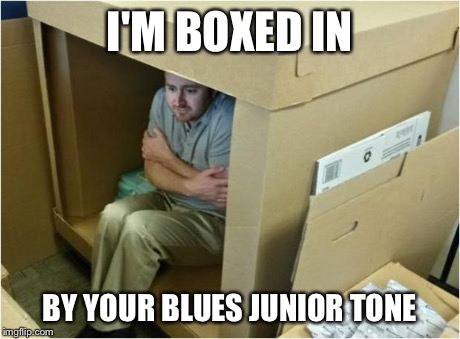 Box | I'M BOXED IN BY YOUR BLUES JUNIOR TONE | image tagged in box | made w/ Imgflip meme maker