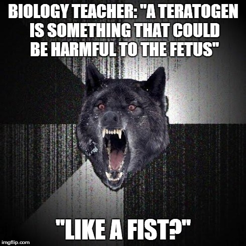 Insanity Wolf Meme | BIOLOGY TEACHER: "A TERATOGEN IS SOMETHING THAT COULD BE HARMFUL TO THE FETUS" "LIKE A FIST?" | image tagged in memes,insanity wolf,AdviceAnimals | made w/ Imgflip meme maker