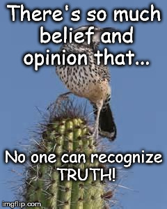 cactus wren | There's so much belief and opinion that... No one can recognize TRUTH! | image tagged in cactus wren | made w/ Imgflip meme maker