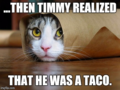 Taco cat | ...THEN TIMMY REALIZED THAT HE WAS A TACO. | image tagged in taco | made w/ Imgflip meme maker