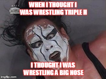 Sting vs Triple H at wrestlemania 31 | WHEN I THOUGHT I WAS WRESTLING TRIPLE H I THOUGHT I WAS WRESTLING A BIG NOSE | image tagged in sting,icon,vs,triple h,wrestlemania,31 | made w/ Imgflip meme maker