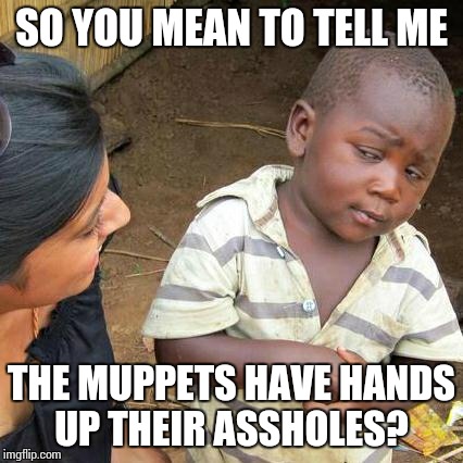 Third World Skeptical Kid Meme | SO YOU MEAN TO TELL ME THE MUPPETS HAVE HANDS UP THEIR ASSHOLES? | image tagged in memes,third world skeptical kid | made w/ Imgflip meme maker