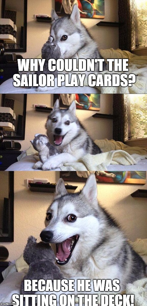 Bad Pun Dog | WHY COULDN'T THE SAILOR PLAY CARDS? BECAUSE HE WAS SITTING ON THE DECK! | image tagged in memes,bad pun dog | made w/ Imgflip meme maker