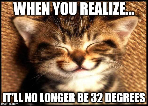 WHEN YOU REALIZE... IT'LL NO LONGER BE 32 DEGREES | image tagged in smiling cat,warm weather,cold weather,meme,funny memes,cat | made w/ Imgflip meme maker