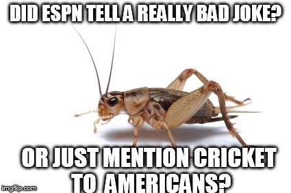 Hearing Crickets | DID ESPN TELL A REALLY BAD JOKE? OR JUST MENTION CRICKET TO AMERICANS? | image tagged in sports fans,cricket | made w/ Imgflip meme maker