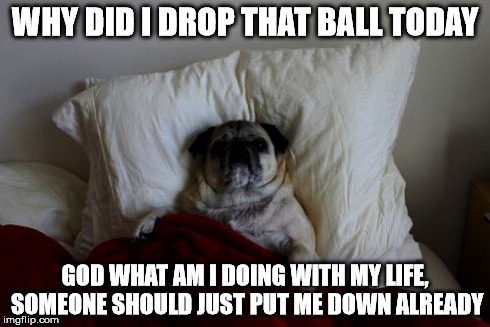 sleepless thoughts dog | WHY DID I DROP THAT BALL TODAY GOD WHAT AM I DOING WITH MY LIFE, SOMEONE SHOULD JUST PUT ME DOWN ALREADY | image tagged in sleepless thoughts dog | made w/ Imgflip meme maker