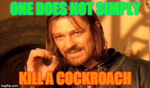 One Does Not Simply | ONE DOES NOT SIMPLY KILL A COCKROACH | image tagged in memes,one does not simply | made w/ Imgflip meme maker