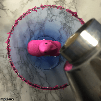 peeptini | image tagged in gifs | made w/ Imgflip images-to-gif maker