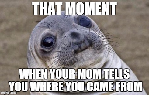 Awkward Moment Sealion Meme | THAT MOMENT WHEN YOUR MOM TELLS YOU WHERE YOU CAME FROM | image tagged in memes,awkward moment sealion | made w/ Imgflip meme maker