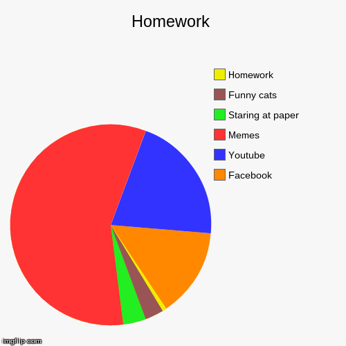 Homework Pie Chart | image tagged in funny,pie charts,homework | made w/ Imgflip chart maker