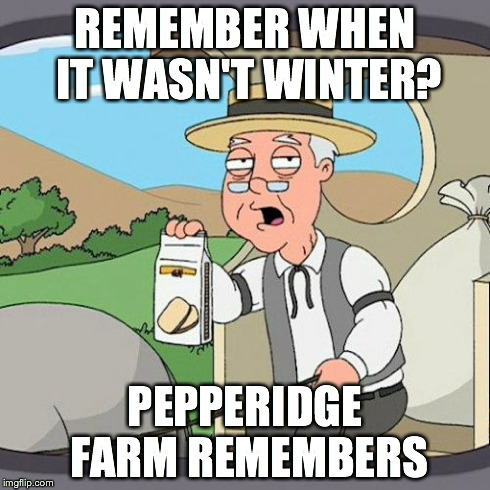 Pepperidge Farm Remembers Meme | REMEMBER WHEN IT WASN'T WINTER? PEPPERIDGE FARM REMEMBERS | image tagged in memes,pepperidge farm remembers,winter,cold weather,weather,spring | made w/ Imgflip meme maker