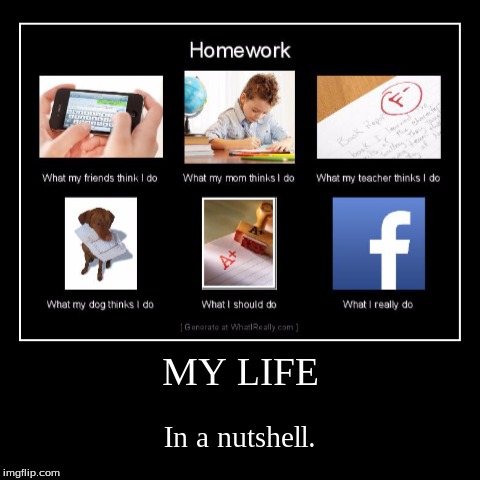 What I Really Do: Homework | image tagged in funny,demotivationals,what i really do,homework | made w/ Imgflip demotivational maker