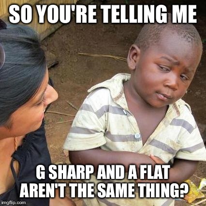 Third World Skeptical Kid Meme | SO YOU'RE TELLING ME G SHARP AND A FLAT AREN'T THE SAME THING? | image tagged in memes,third world skeptical kid | made w/ Imgflip meme maker