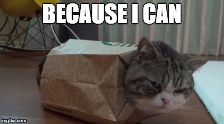 Why? Because I can! | BECAUSE I CAN | image tagged in memes,animals | made w/ Imgflip meme maker