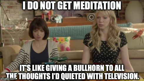 Weed Wisdom | I DO NOT GET MEDITATION IT'S LIKE GIVING A BULLHORN TO ALL THE THOUGHTS I’D QUIETED WITH TELEVISION. | image tagged in garfunkel and oats | made w/ Imgflip meme maker