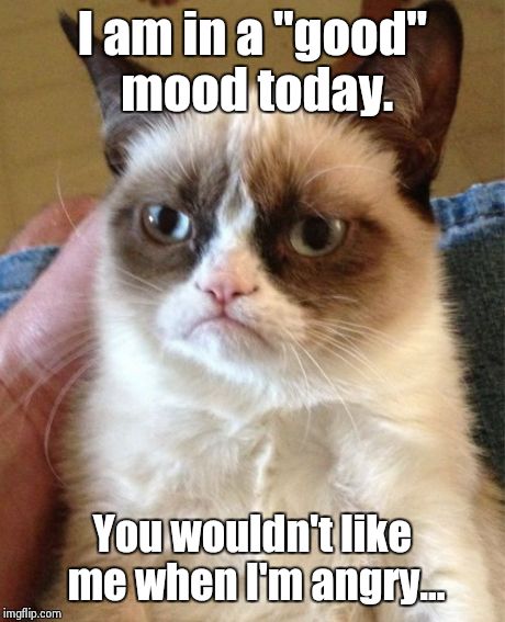 Grumpy Cat Meme | I am in a "good" mood today. You wouldn't like me when I'm angry... | image tagged in memes,grumpy cat | made w/ Imgflip meme maker
