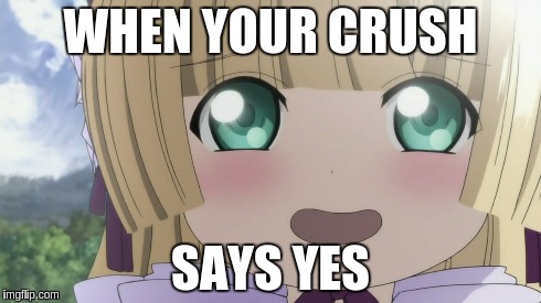 When your crush says yes | WHEN YOUR CRUSH SAYS YES | image tagged in relationships,anime,crush | made w/ Imgflip meme maker