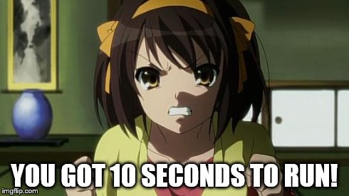 Angry Haruhi | YOU GOT 10 SECONDS TO RUN! | image tagged in angry haruhi | made w/ Imgflip meme maker