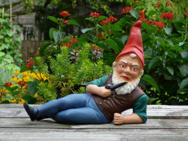 High Quality Gnome sayin' Blank Meme Template