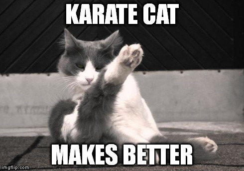 Karate Cat | KARATE CAT MAKES BETTER | image tagged in karate cat | made w/ Imgflip meme maker