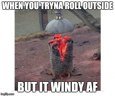 WHEN YOU TRYNA ROLL OUTSIDE BUT IT WINDY AF | image tagged in when you tryna roll outside but it windy af,funny,first world stoner problems,uk | made w/ Imgflip meme maker