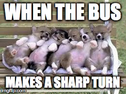 WHEN THE BUS MAKES A SHARP TURN | image tagged in funny animals,funny memes,too funny,animals | made w/ Imgflip meme maker