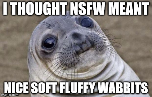 Awkward Moment Sealion | I THOUGHT NSFW MEANT NICE SOFT FLUFFY WABBITS | image tagged in memes,awkward moment sealion | made w/ Imgflip meme maker