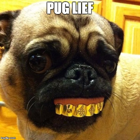 PUG LIEF | made w/ Imgflip meme maker