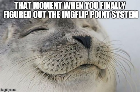 Satisfied Seal | THAT MOMENT WHEN YOU FINALLY FIGURED OUT THE IMGFLIP POINT SYSTEM | image tagged in memes,satisfied seal | made w/ Imgflip meme maker