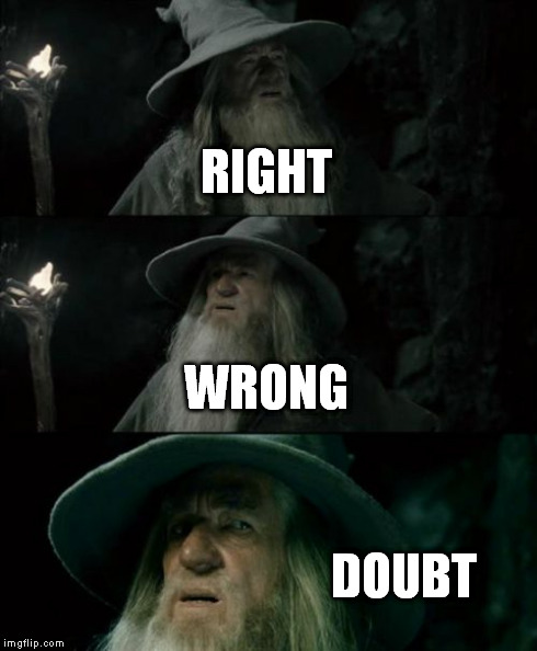 Confused Gandalf Meme | RIGHT WRONG DOUBT | image tagged in memes,confused gandalf | made w/ Imgflip meme maker
