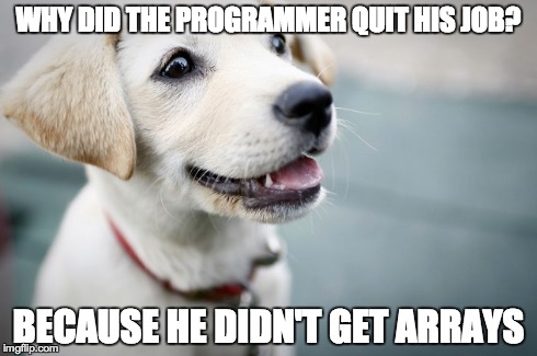 WHY DID THE PROGRAMMER QUIT HIS JOB? BECAUSE HE DIDN'T GET ARRAYS | made w/ Imgflip meme maker
