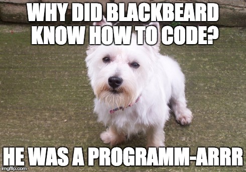 WHY DID BLACKBEARD KNOW HOW TO CODE? HE WAS A PROGRAMM-ARRR | made w/ Imgflip meme maker
