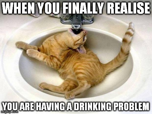 Drunk cat | WHEN YOU FINALLY REALISE YOU ARE HAVING A DRINKING PROBLEM | image tagged in drunk cat | made w/ Imgflip meme maker