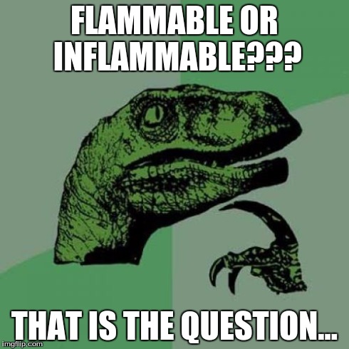 The English Language Will Always F*ck You... | FLAMMABLE OR INFLAMMABLE??? THAT IS THE QUESTION... | image tagged in memes,philosoraptor,funny,useless fact of the day | made w/ Imgflip meme maker