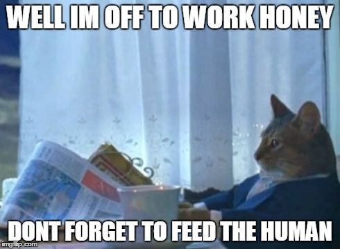 the human cat
 | WELL IM OFF TO WORK HONEY DONT FORGET TO FEED THE HUMAN | image tagged in memes,i should buy a boat cat | made w/ Imgflip meme maker