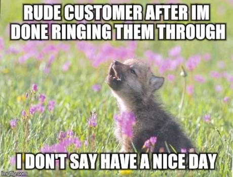 Baby Insanity Wolf Meme | RUDE CUSTOMER AFTER IM DONE RINGING THEM THROUGH I DON'T SAY HAVE A NICE DAY | image tagged in memes,baby insanity wolf,AdviceAnimals | made w/ Imgflip meme maker