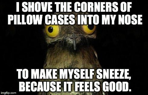 Weird Stuff I Do Potoo Meme | I SHOVE THE CORNERS OF PILLOW CASES INTO MY NOSE TO MAKE MYSELF SNEEZE, BECAUSE IT FEELS GOOD. | image tagged in memes,weird stuff i do potoo | made w/ Imgflip meme maker