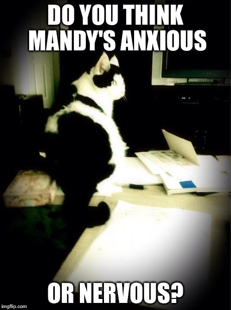 DO YOU THINK MANDY'S ANXIOUS OR NERVOUS? | image tagged in do you think mandy's anxious | made w/ Imgflip meme maker