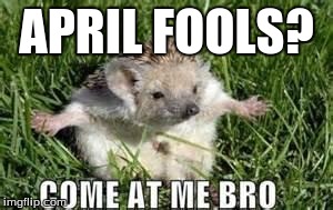 APRIL FOOLS? | image tagged in come at me bro hedeghog | made w/ Imgflip meme maker