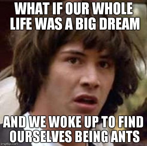 Conspiracy Keanu Meme | WHAT IF OUR WHOLE LIFE WAS A BIG DREAM AND WE WOKE UP TO FIND OURSELVES BEING ANTS | image tagged in memes,conspiracy keanu | made w/ Imgflip meme maker