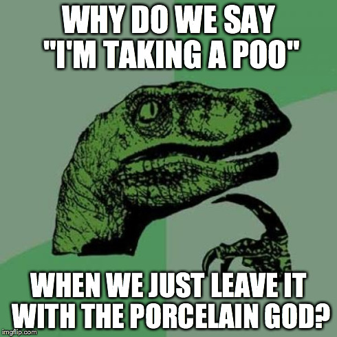 Philosoraptor | WHY DO WE SAY "I'M TAKING A POO" WHEN WE JUST LEAVE IT WITH THE PORCELAIN GOD? | image tagged in memes,philosoraptor | made w/ Imgflip meme maker