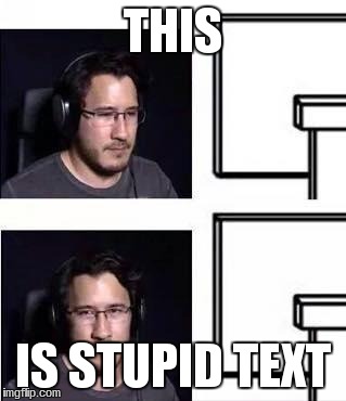 Markiplier computer stare | THIS IS STUPID TEXT | image tagged in markiplier computer stare | made w/ Imgflip meme maker