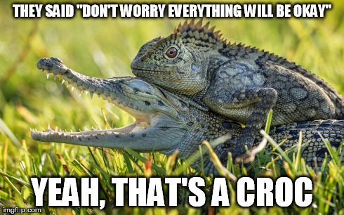 Hitching can be dangerous | THEY SAID "DON'T WORRY EVERYTHING WILL BE OKAY" YEAH, THAT'S A CROC | image tagged in lizard,crocodile,reptile | made w/ Imgflip meme maker