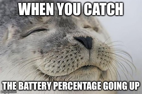 Satisfied Seal | WHEN YOU CATCH THE BATTERY PERCENTAGE GOING UP | image tagged in memes,satisfied seal | made w/ Imgflip meme maker
