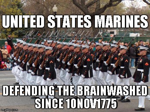 Marines | UNITED STATES MARINES DEFENDING THE BRAINWASHED SINCE 10NOV1775 | image tagged in marines | made w/ Imgflip meme maker