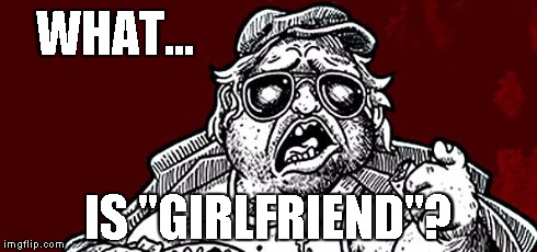 WHAT... IS "GIRLFRIEND"? | image tagged in mr plinkett | made w/ Imgflip meme maker