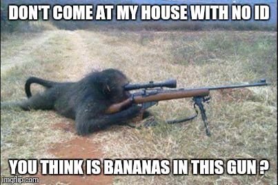monkeys n guns | DON'T COME AT MY HOUSE WITH NO ID YOU THINK IS BANANAS IN THIS GUN ? | image tagged in monkeys n guns | made w/ Imgflip meme maker