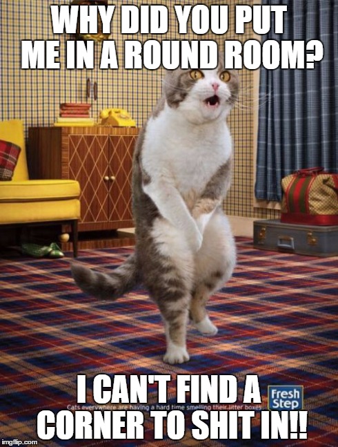 Gotta Go Cat | WHY DID YOU PUT ME IN A ROUND ROOM? I CAN'T FIND A CORNER TO SHIT IN!! | image tagged in memes,gotta go cat | made w/ Imgflip meme maker
