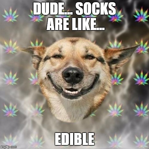 Not sure where I was going with this... | DUDE... SOCKS ARE LIKE... EDIBLE | image tagged in memes,stoner dog,socks | made w/ Imgflip meme maker