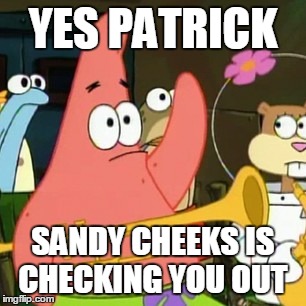 No Patrick | YES PATRICK SANDY CHEEKS IS CHECKING YOU OUT | image tagged in memes,no patrick | made w/ Imgflip meme maker